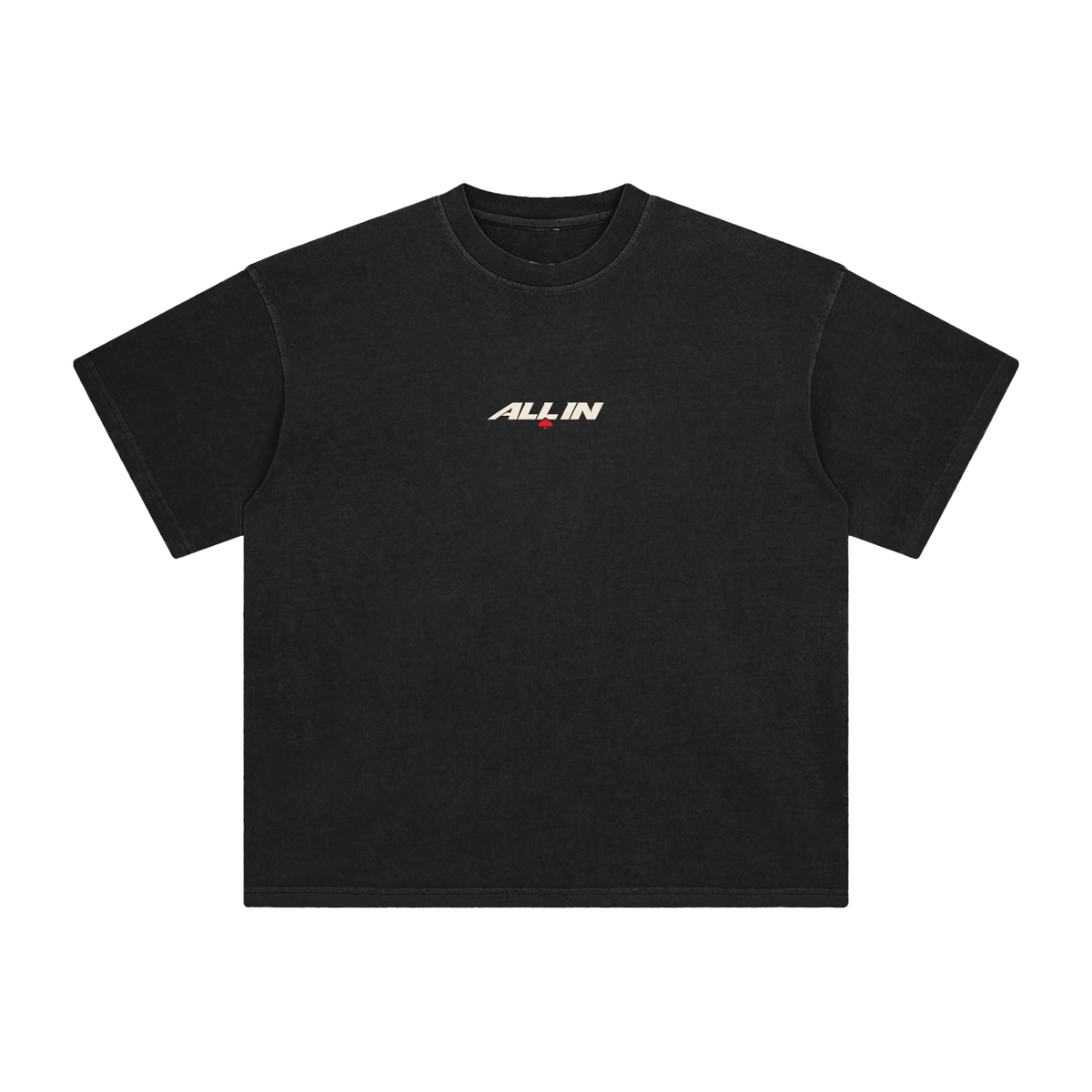 All IN Washed Tee
